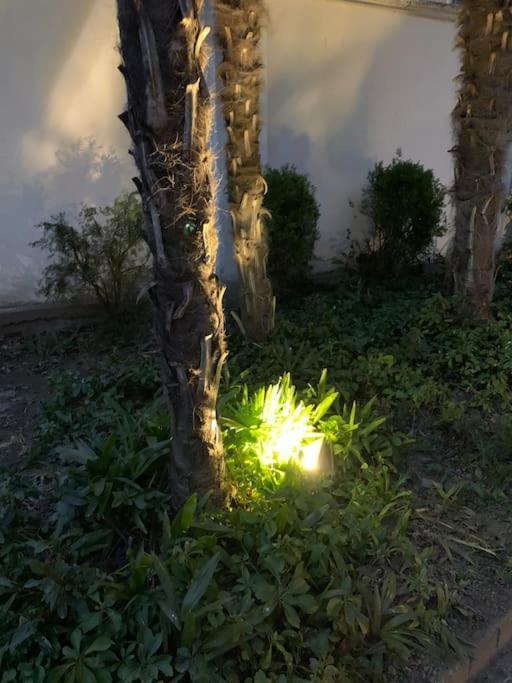 At Home 128 : Little Garden In The City Turin Exterior photo