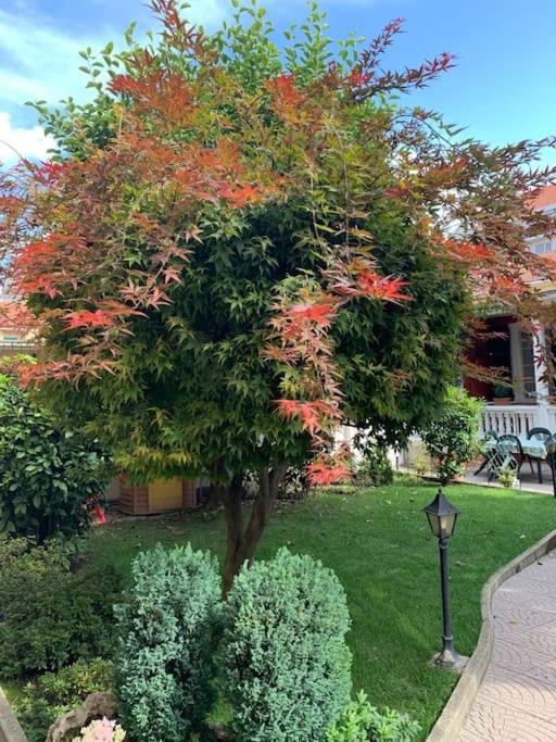 At Home 128 : Little Garden In The City Turin Exterior photo